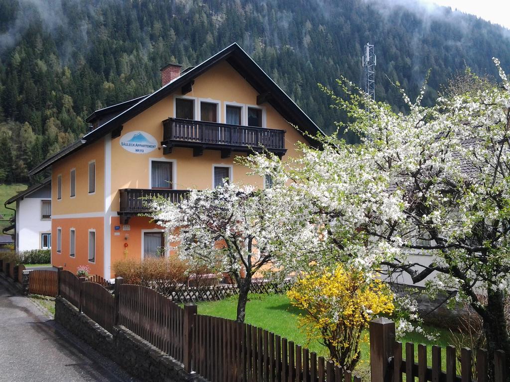Saeuleck Appartement Inkl Skibus Mallnitz Extérieur photo